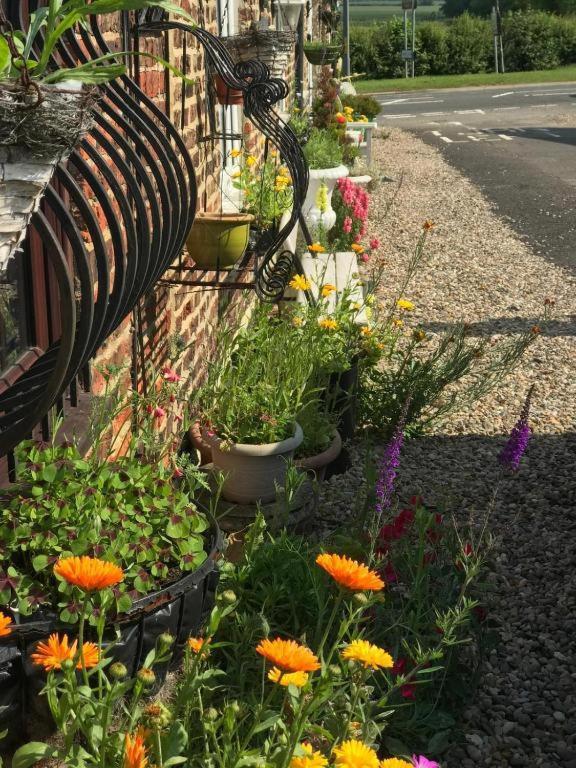 Oyo Yarm Cottages Kirklevington Екстер'єр фото